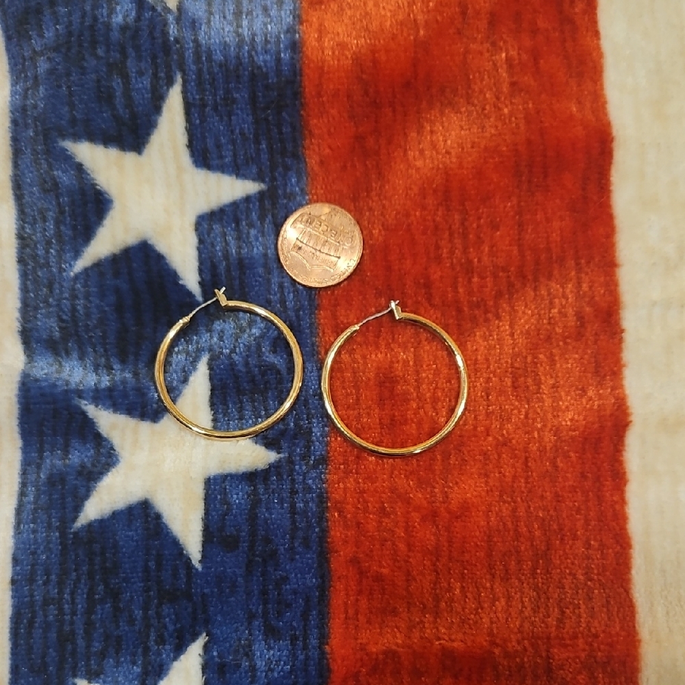 Elegant Gold Hoop Earrings